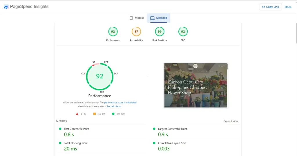 Website Performance Score