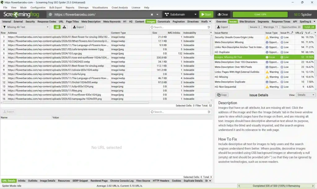 Screaming Frog Technical SEO Audit - Jed Louise Madrid